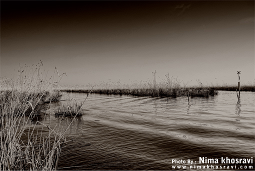 IRAN - Anzali Lagoon .