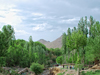 IRAN - Kashan- Barzook Village